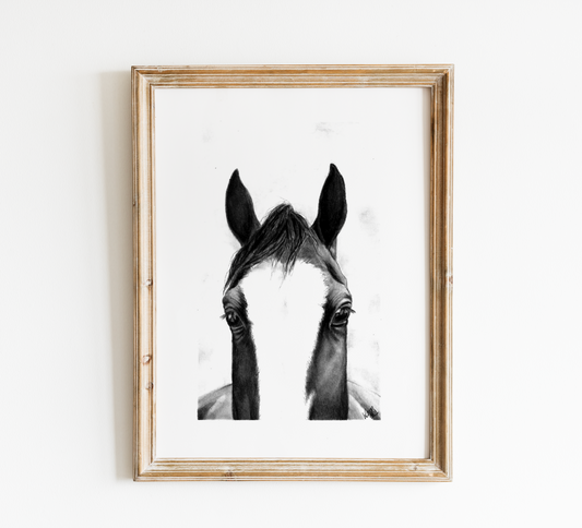 Miroir