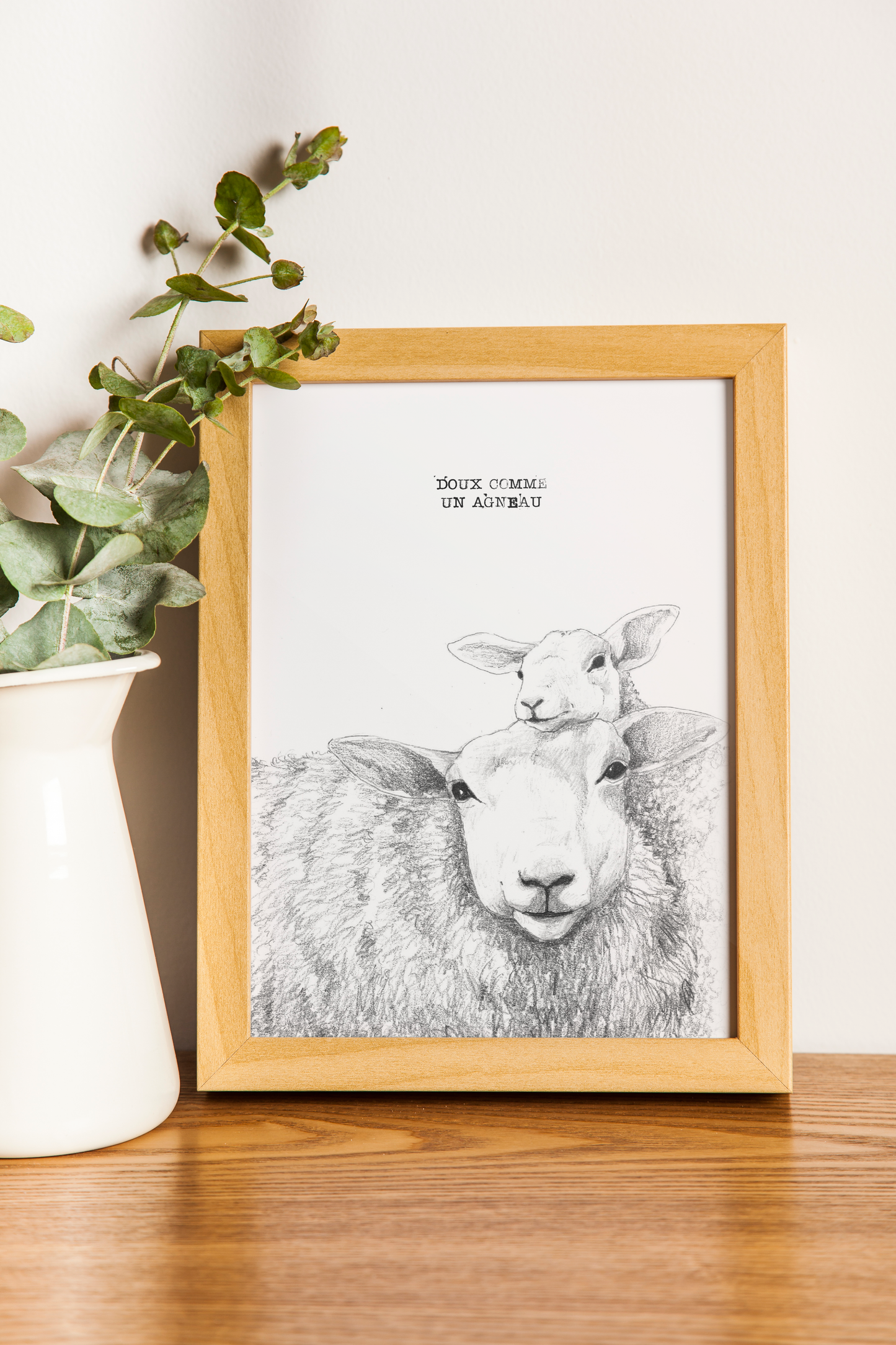 DOUX COMME UN AGNEAU - A5