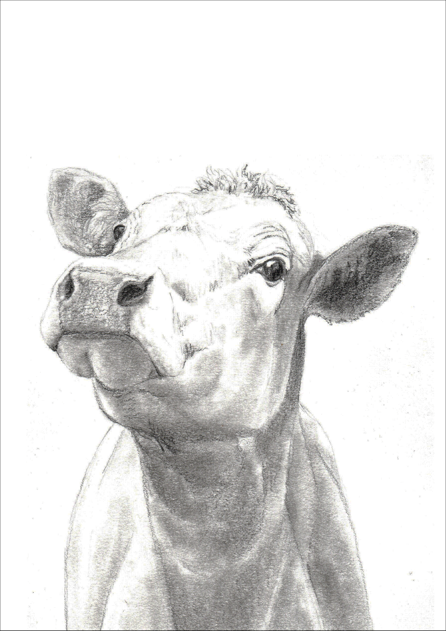 OH LA VACHE ! - A5