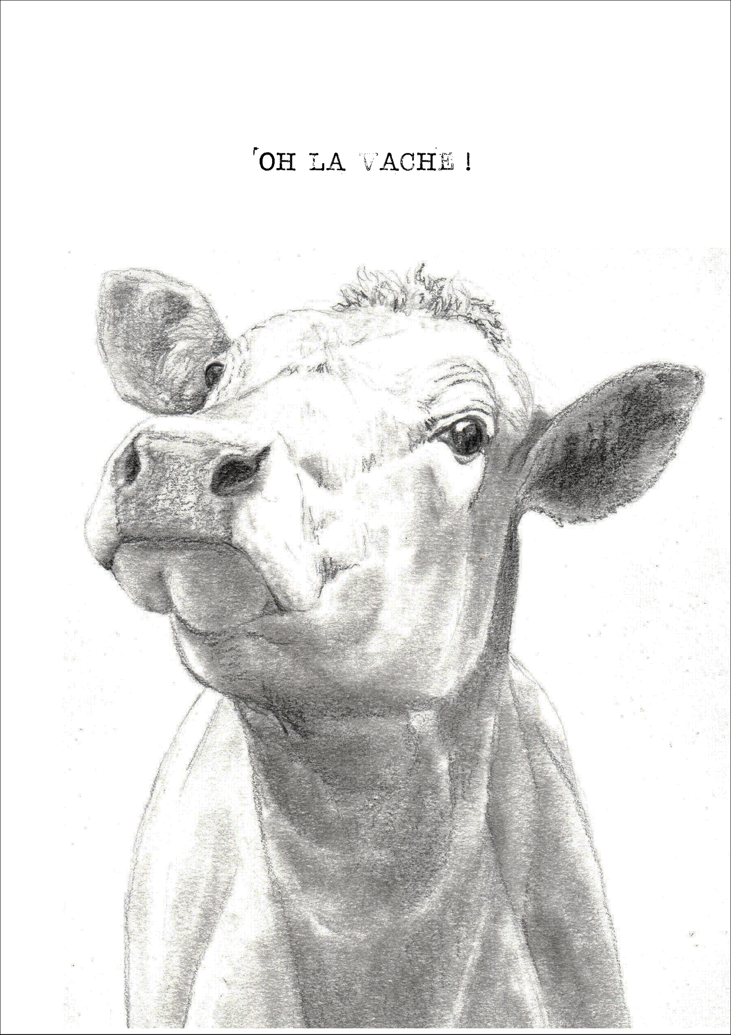 OH LA VACHE ! - A5