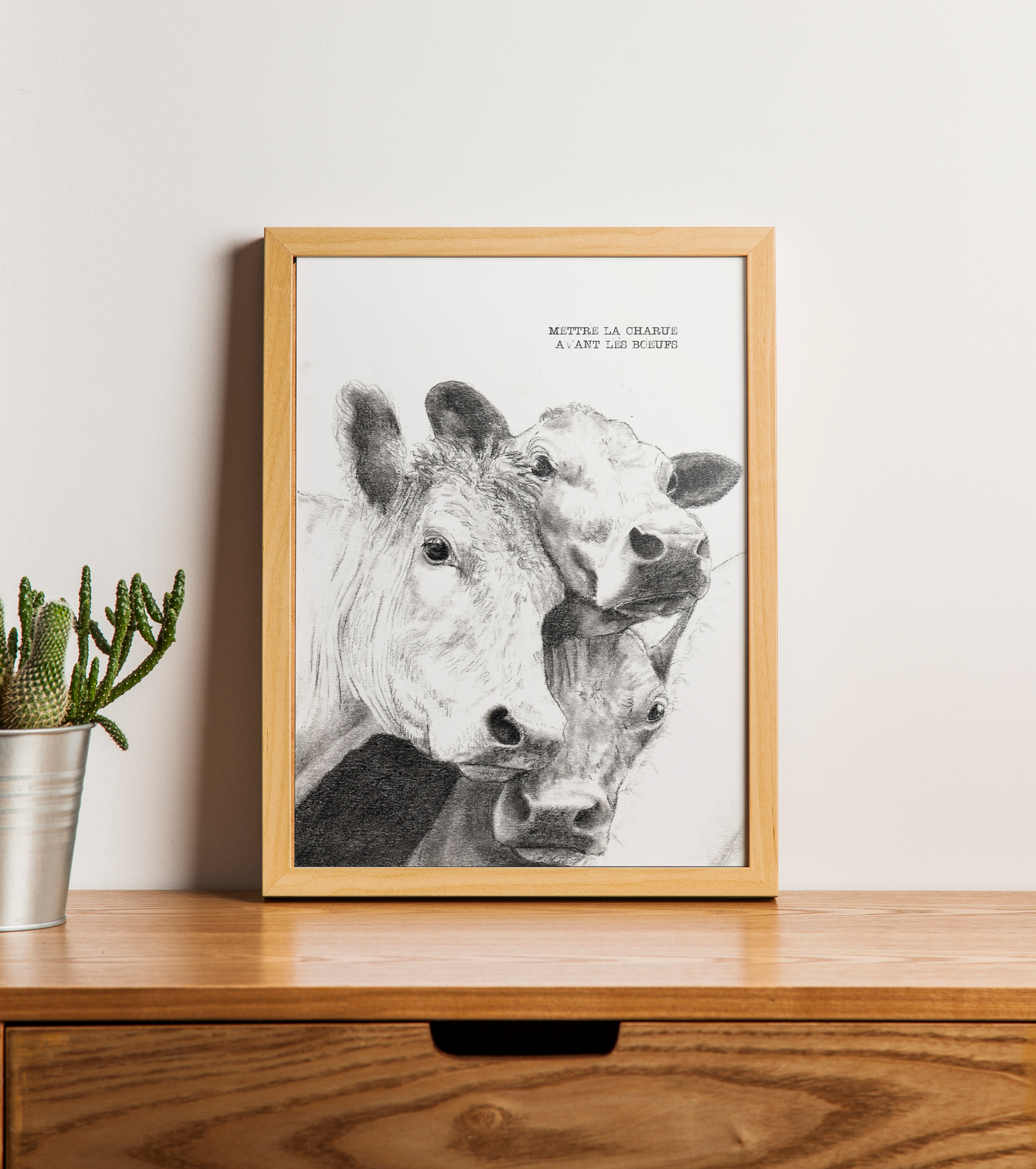 METTRE LA CHARRUE AVANT LES BOEUFS - A5