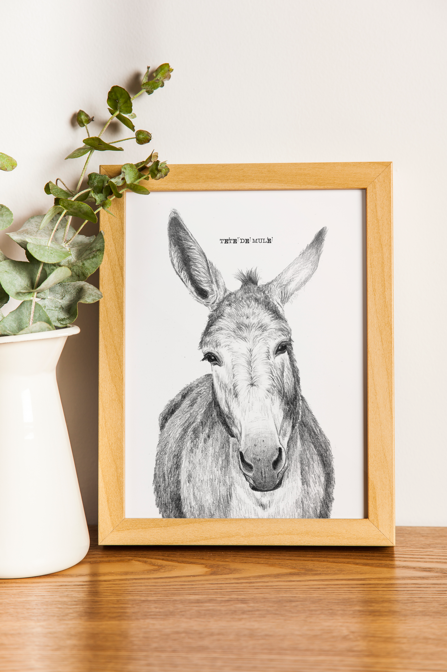 TÊTE DE MULE - A5